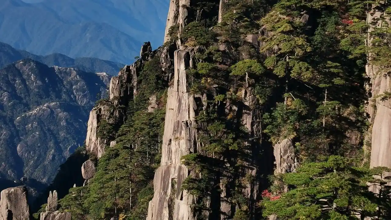 扒開腿灌牛奶調教明星的真相与反思